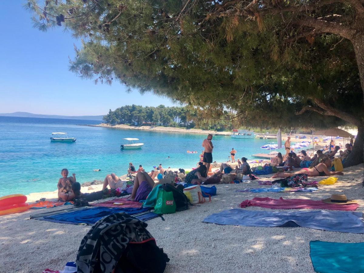 Apartment Elena Donji Okrug  Εξωτερικό φωτογραφία