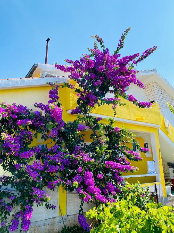 Apartment Elena Donji Okrug  Εξωτερικό φωτογραφία