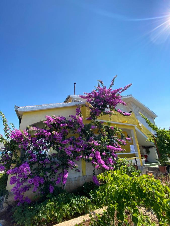 Apartment Elena Donji Okrug  Εξωτερικό φωτογραφία